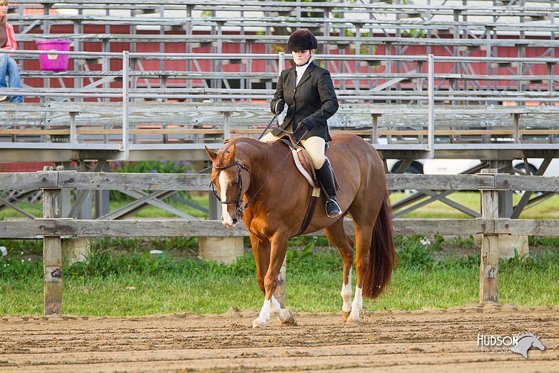 4H-FUN-060813-1654.jpg