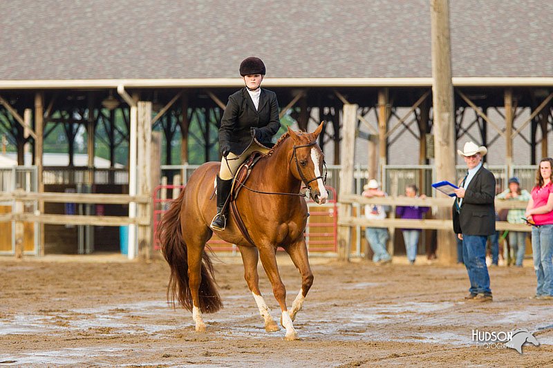 4H-FUN-060813-1655.jpg