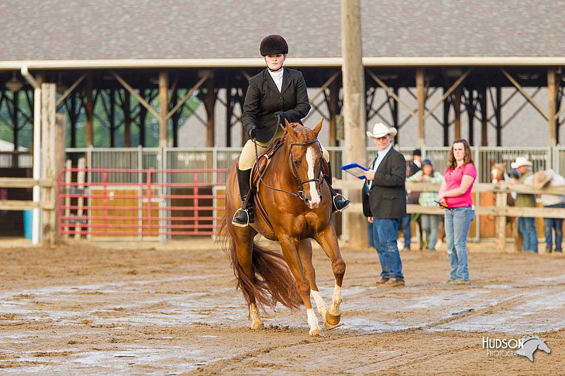 4H-FUN-060813-1656.jpg