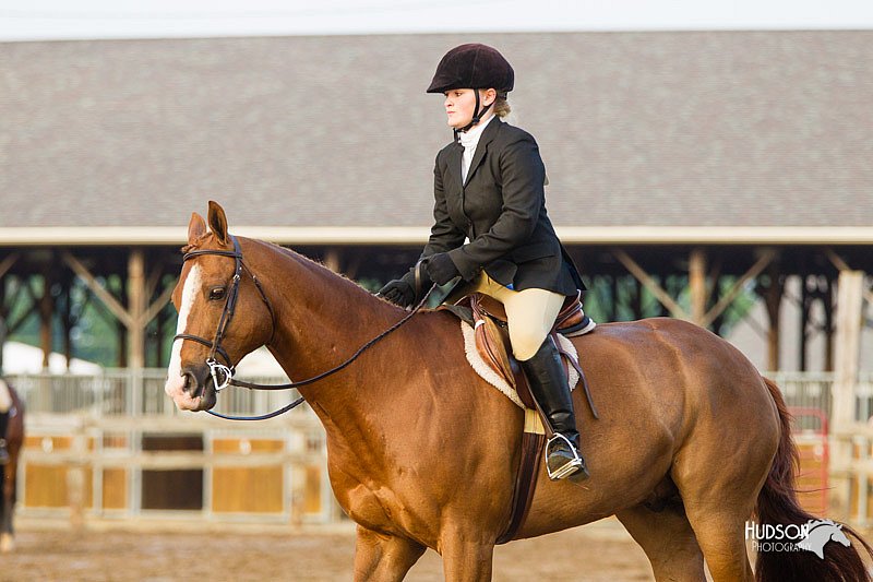 4H-FUN-060813-1658.jpg