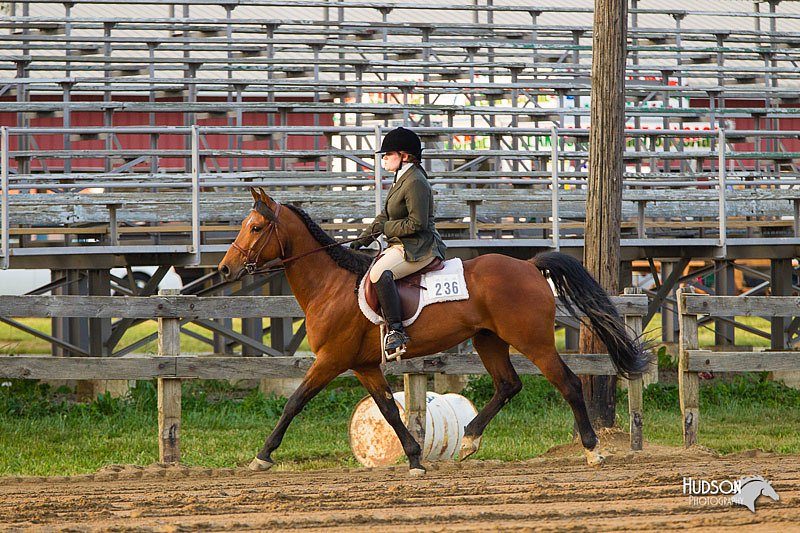 4H-FUN-060813-1660.jpg