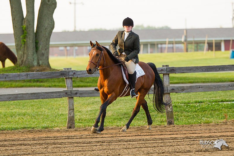 4H-FUN-060813-1663.jpg