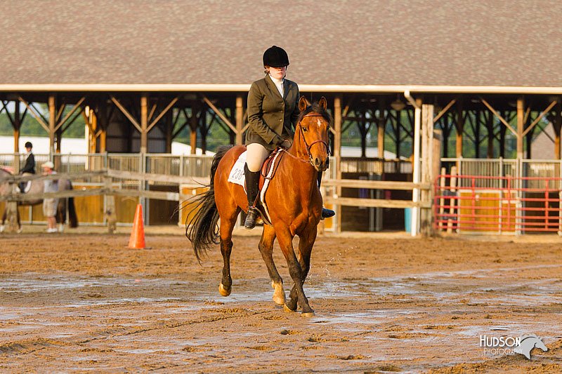 4H-FUN-060813-1667.jpg