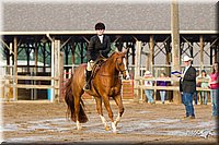 4H-FUN-060813-1655.jpg