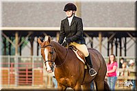 4H-FUN-060813-1657.jpg
