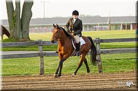 4H-FUN-060813-1663.jpg