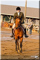 4H-FUN-060813-1668.jpg