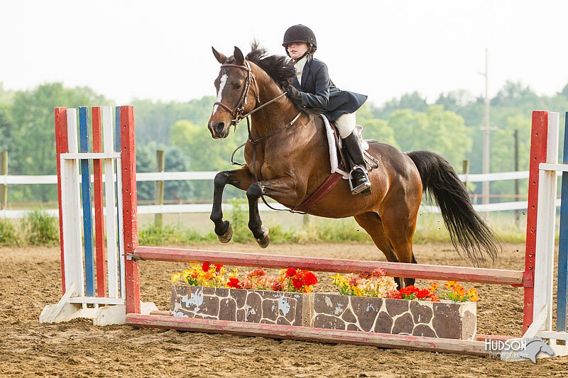 4H-FUN-060813-1414.jpg