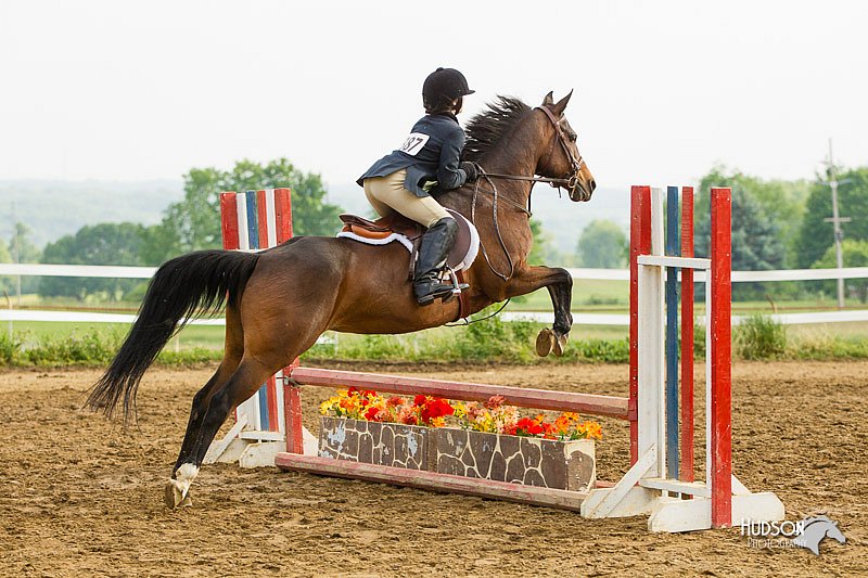 4H-FUN-060813-1415.jpg
