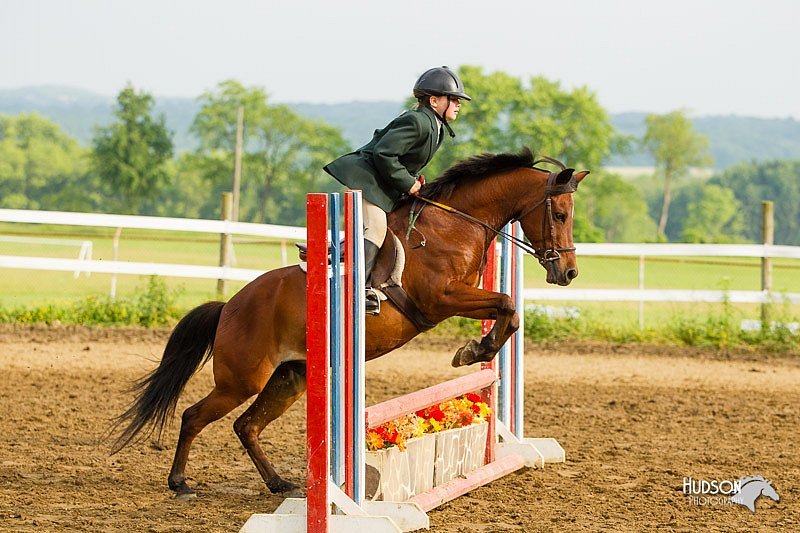 4H-FUN-060813-1416.jpg