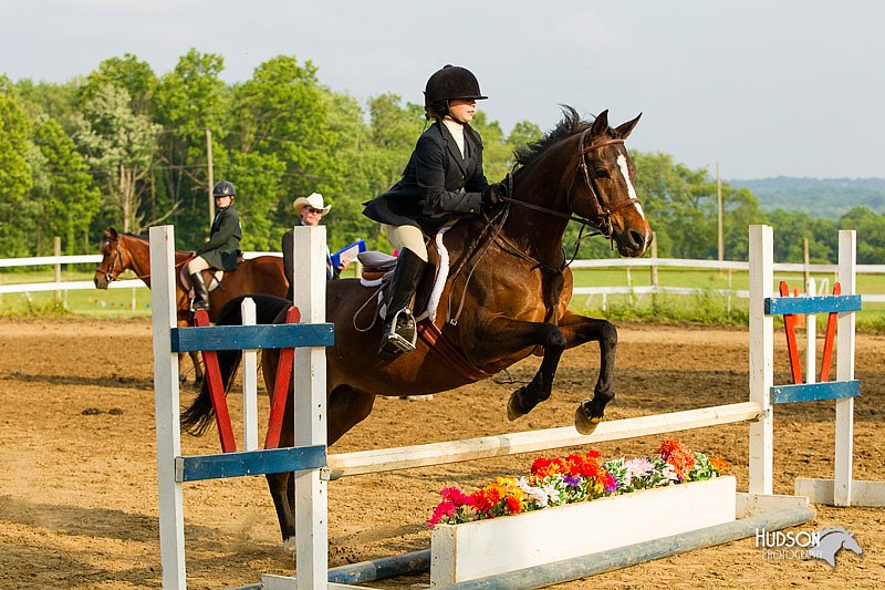 4H-FUN-060813-1418.jpg
