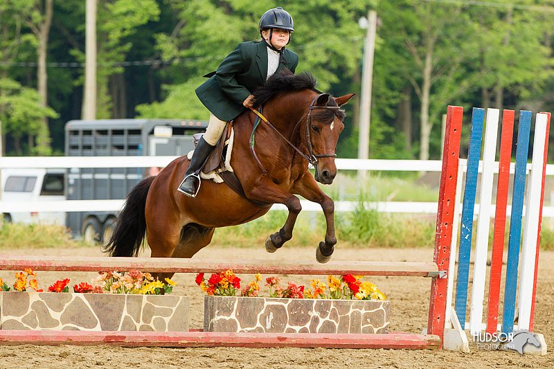 4H-FUN-060813-1419.jpg
