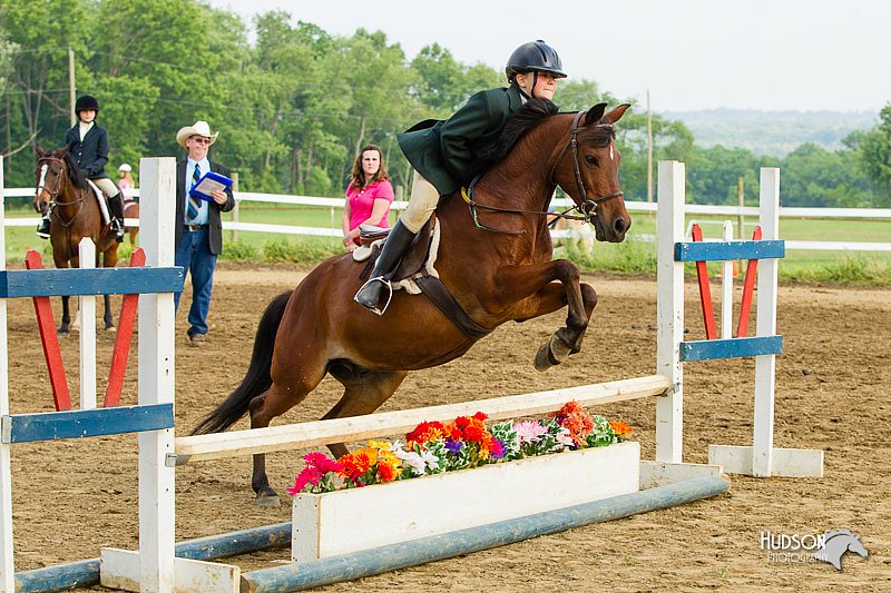 4H-FUN-060813-1420.jpg