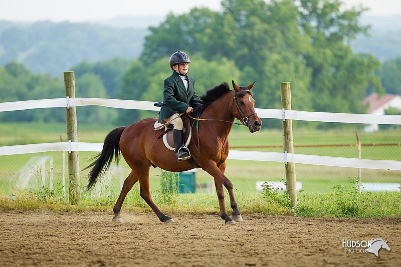 4H-FUN-060813-1421.jpg