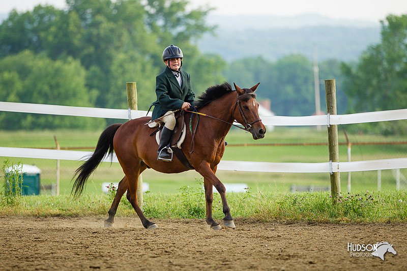 4H-FUN-060813-1422.jpg