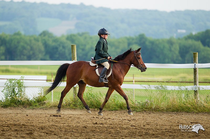 4H-FUN-060813-1425.jpg