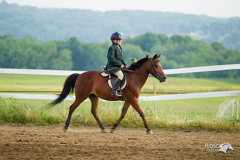 4H-FUN-060813-1426.jpg
