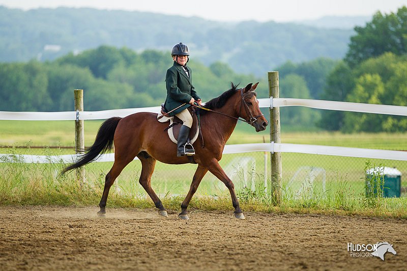4H-FUN-060813-1427.jpg