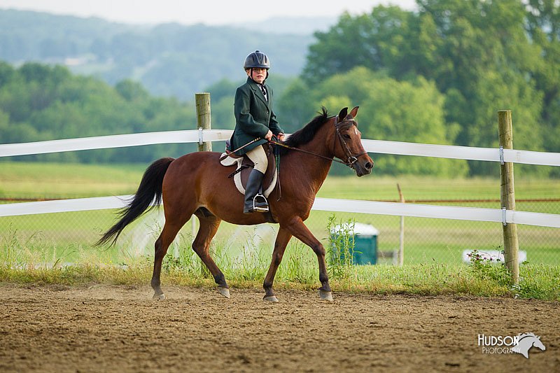 4H-FUN-060813-1428.jpg