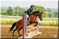 4H-FUN-060813-1416.jpg