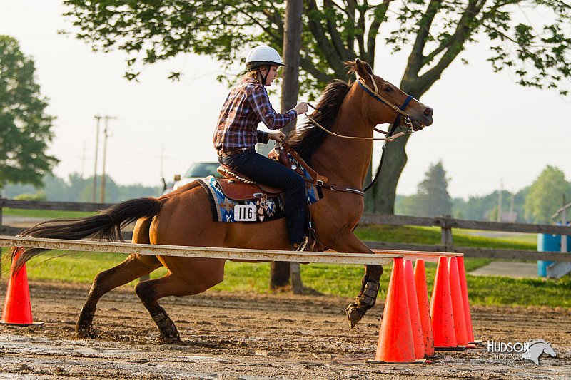 4H-FUN-060813-1454.jpg
