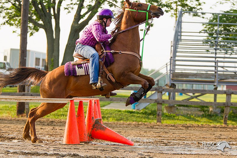 4H-FUN-060813-1464.jpg