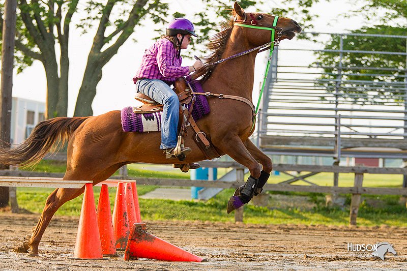 4H-FUN-060813-1465.jpg