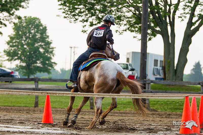 4H-FUN-060813-1475.jpg