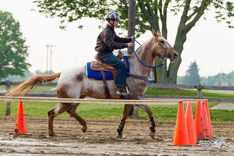 4H-FUN-060813-1478.jpg