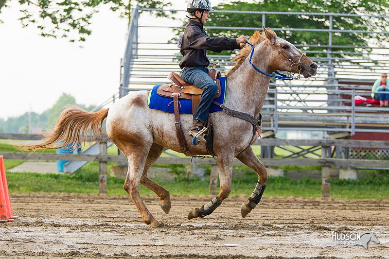 4H-FUN-060813-1479.jpg