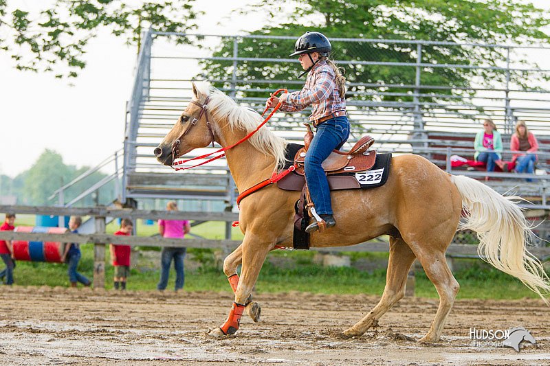 4H-FUN-060813-1482.jpg