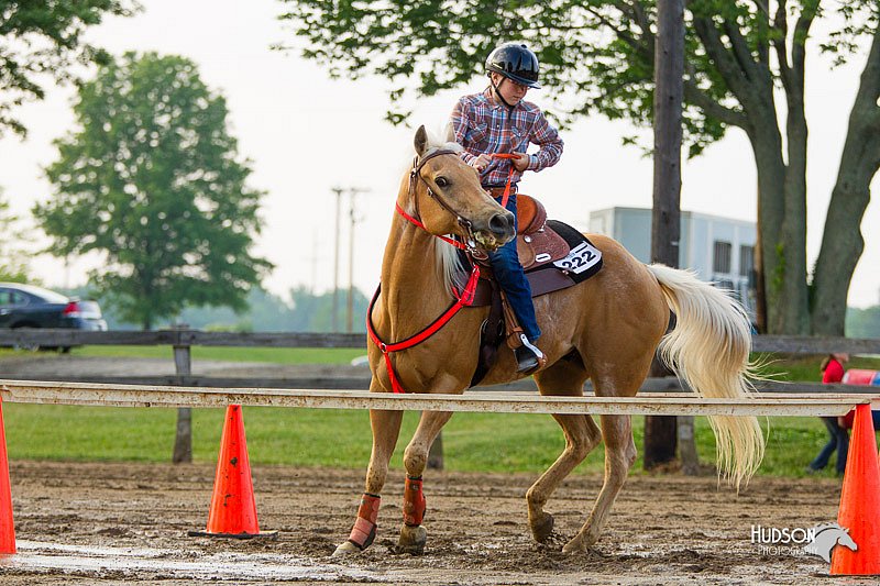 4H-FUN-060813-1483.jpg