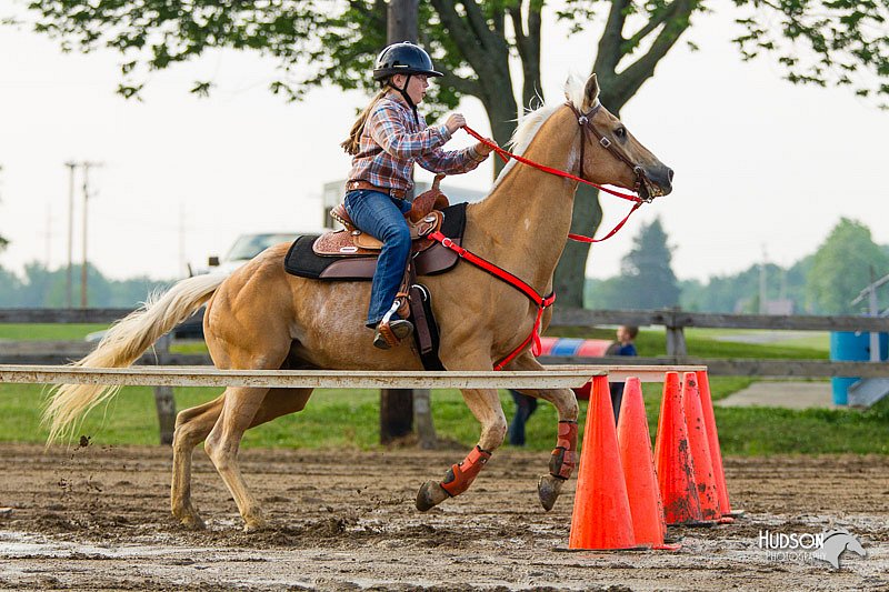 4H-FUN-060813-1486.jpg