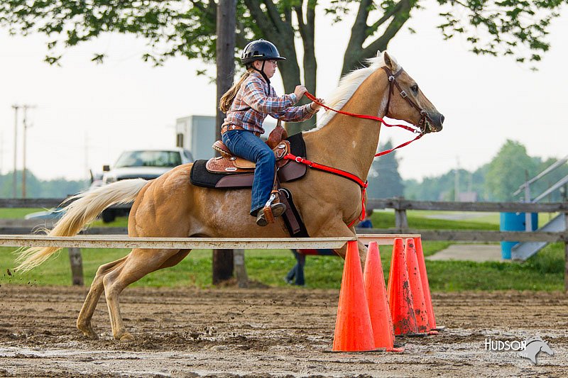 4H-FUN-060813-1487.jpg