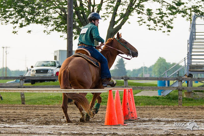 4H-FUN-060813-1493.jpg