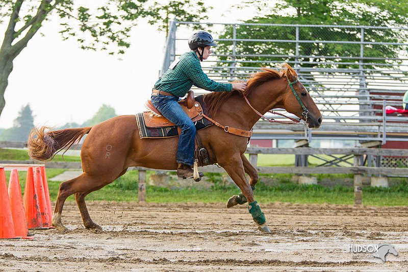 4H-FUN-060813-1495.jpg