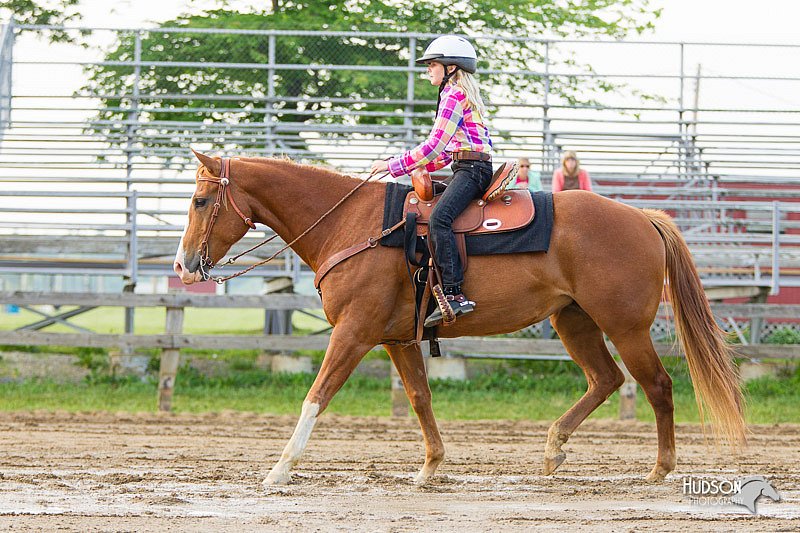4H-FUN-060813-1502.jpg