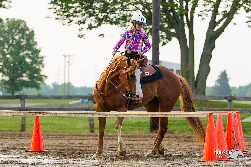 4H-FUN-060813-1503.jpg