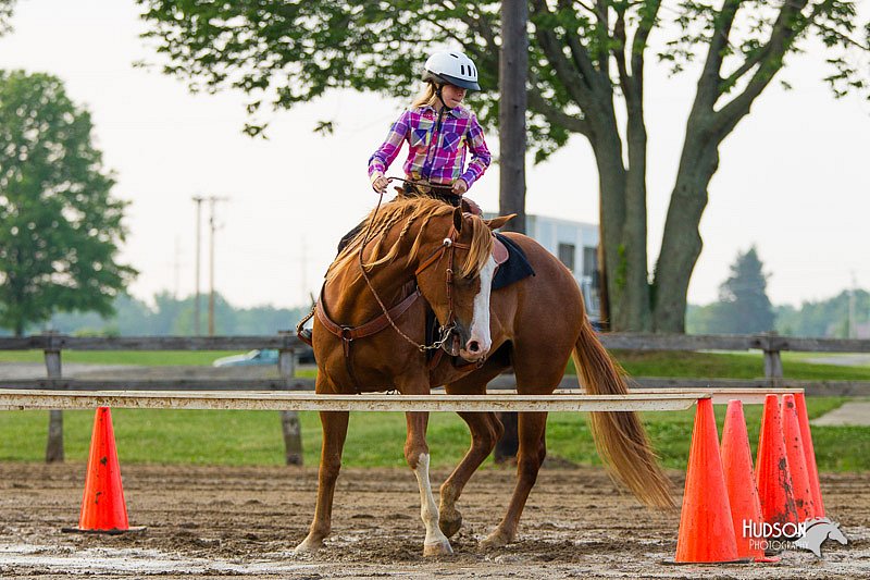 4H-FUN-060813-1504.jpg