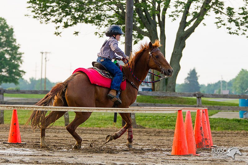 4H-FUN-060813-1508.jpg