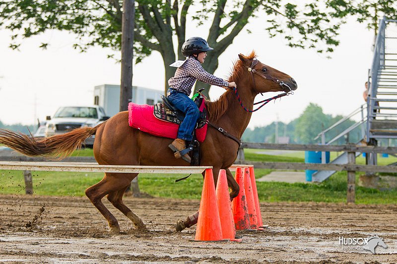 4H-FUN-060813-1509.jpg