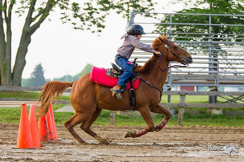 4H-FUN-060813-1510.jpg
