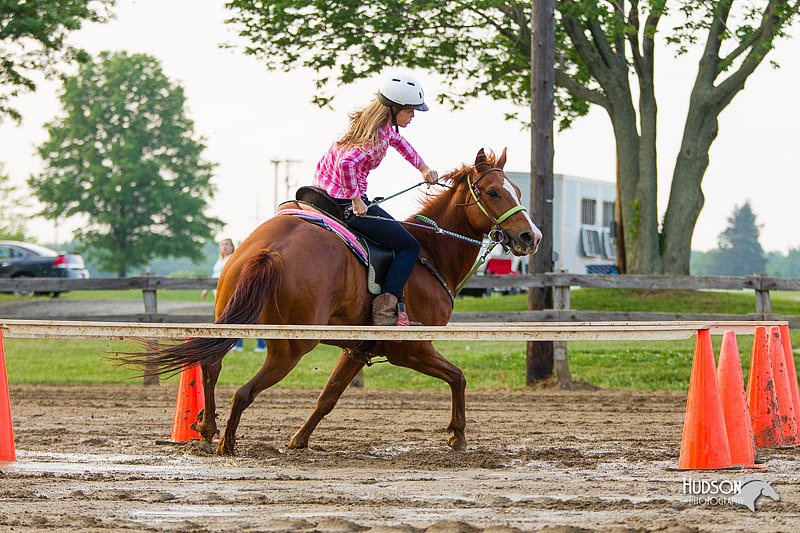 4H-FUN-060813-1523.jpg