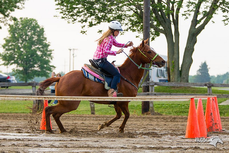 4H-FUN-060813-1525.jpg