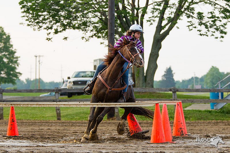4H-FUN-060813-1533.jpg