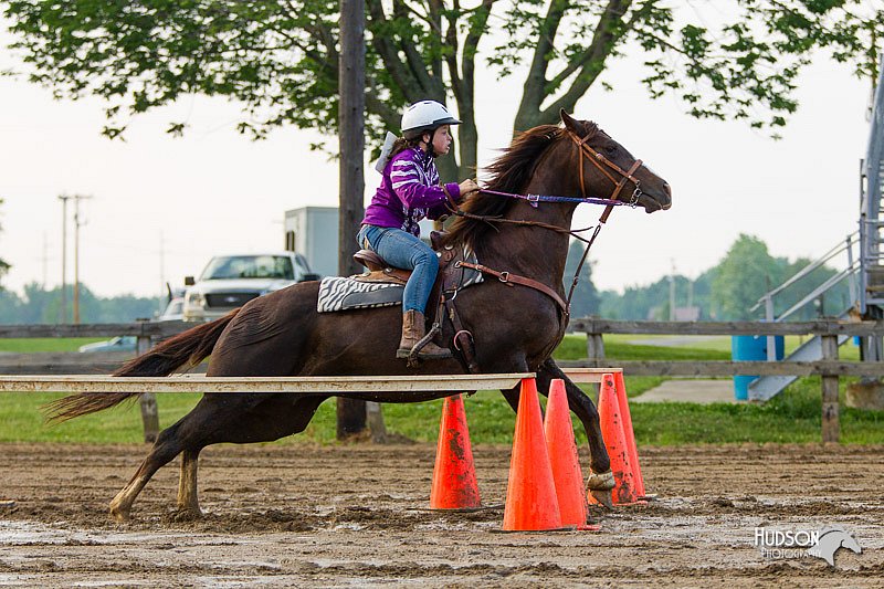 4H-FUN-060813-1535.jpg