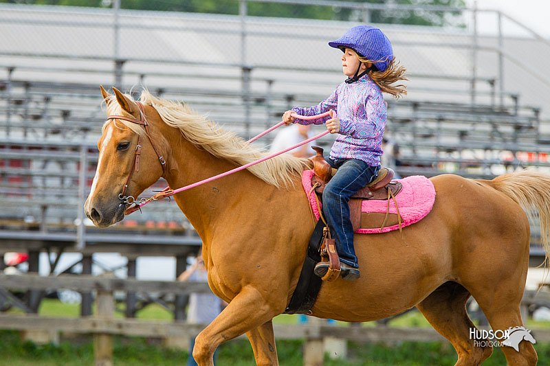 4H-FUN-060813-1547.jpg