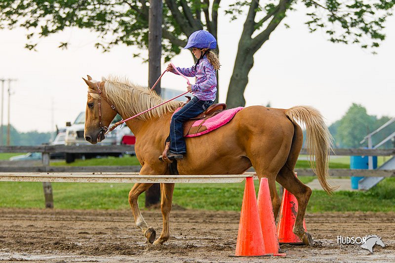 4H-FUN-060813-1552.jpg