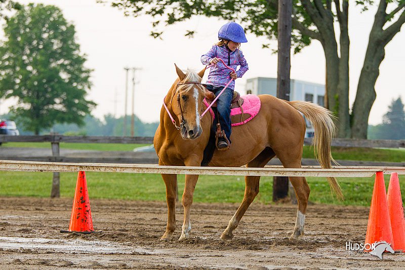 4H-FUN-060813-1553.jpg