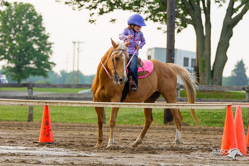 4H-FUN-060813-1554.jpg
